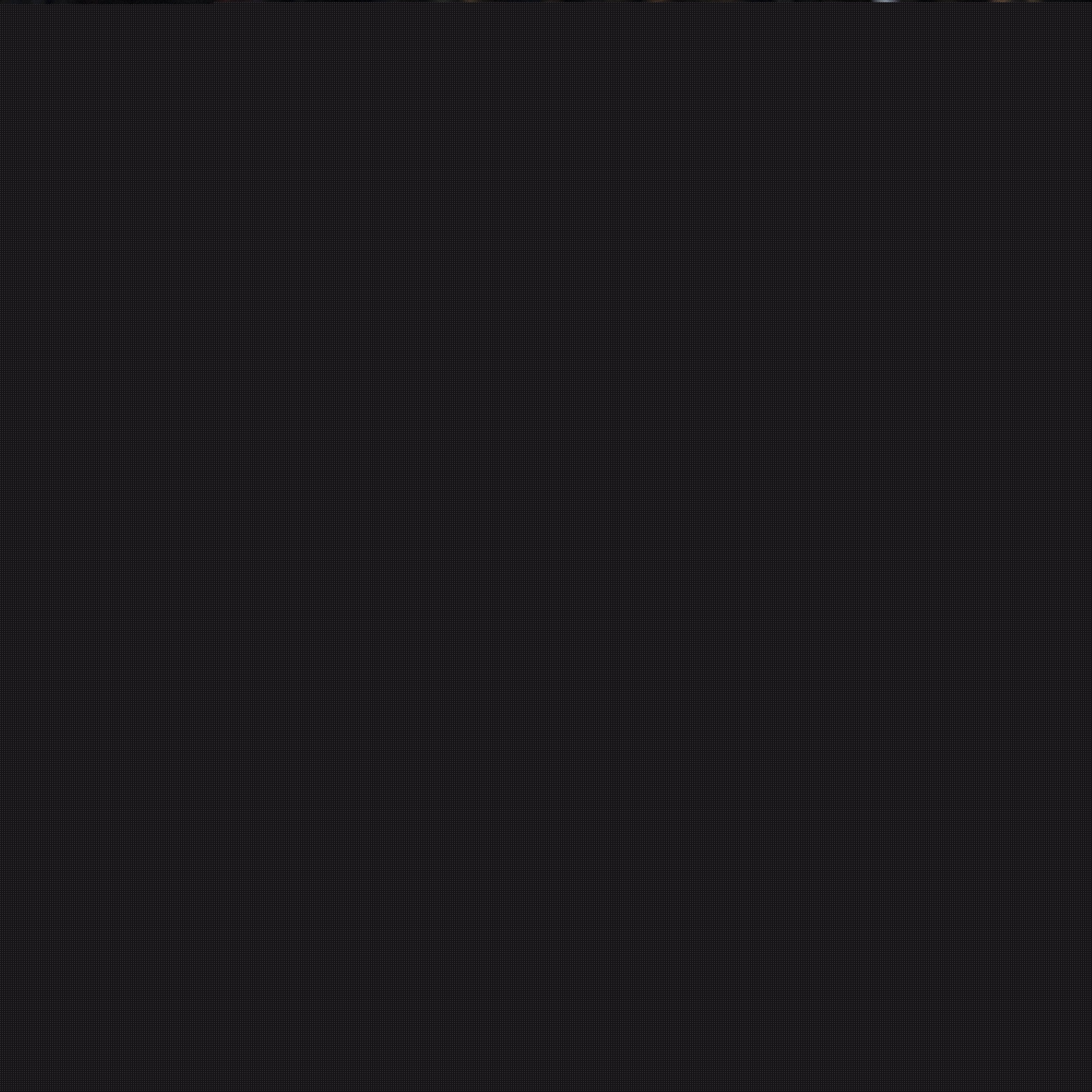 表着两种不